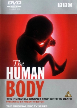 The Human Body