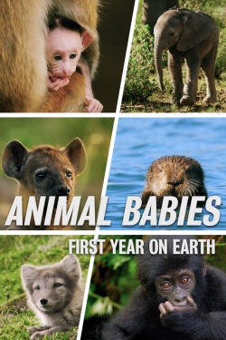 Animal Babies: First Year On Earth