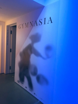 Gymnasia