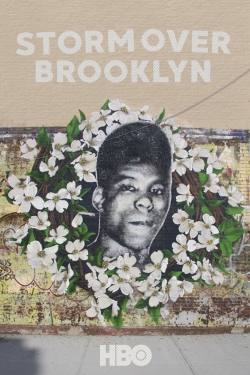 Yusuf Hawkins: Storm Over Brooklyn