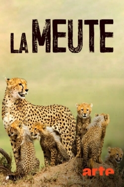 La Meute Cinq guépards dans le Serengeti