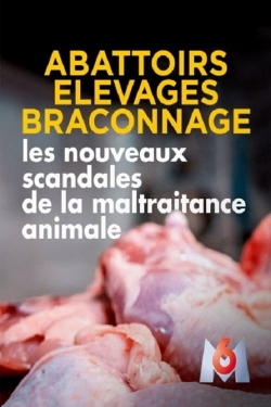 Abattoirs, élevages, braconnage, les nouveaux scandales de la maltraitance animale